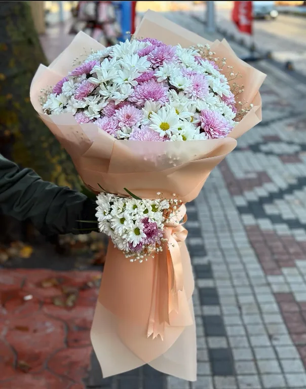 beyaz pembe papatya (main)
