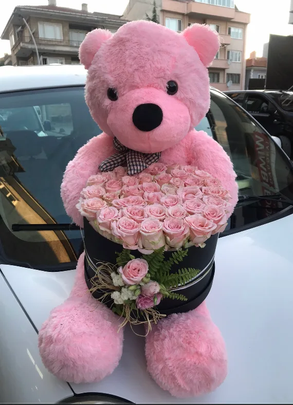pembe ayı ve pembe gül (main)