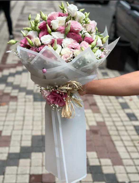 pembe beyaz isyanus (main)